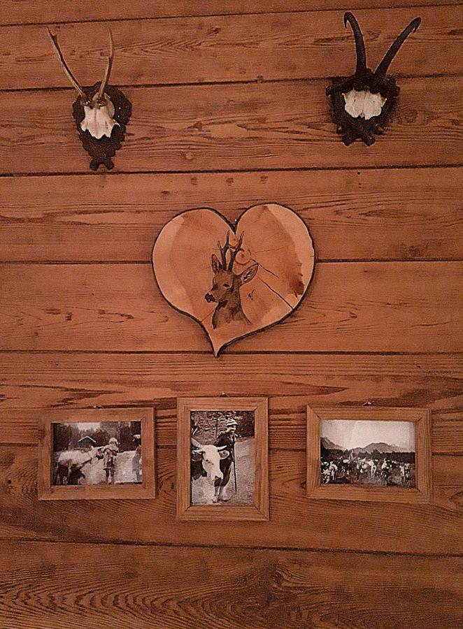 Berggasthof Karntner Alm Hotel Mittenwald Buitenkant foto